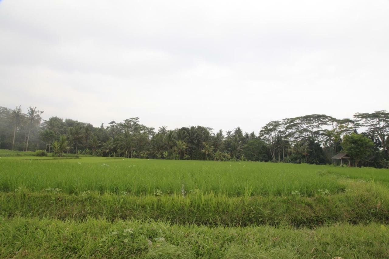 Pondok Gepokan Homestay Ubud  Exterior photo