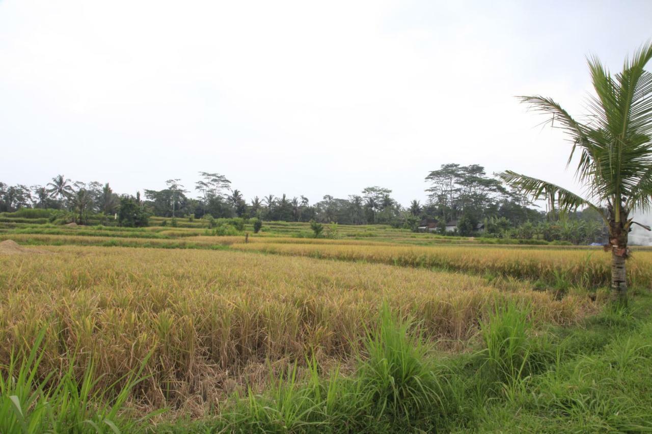 Pondok Gepokan Homestay Ubud  Exterior photo