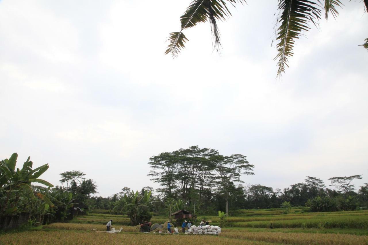 Pondok Gepokan Homestay Ubud  Exterior photo